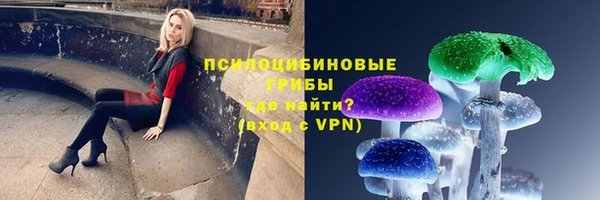 Альфа ПВП Горно-Алтайск