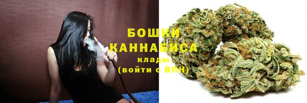 Альфа ПВП Гусь-Хрустальный