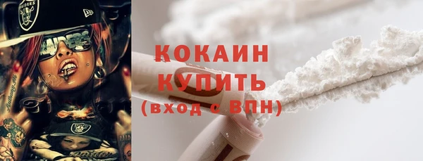 spice Гусев