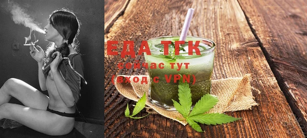 spice Гусев