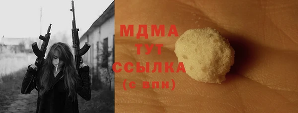 spice Гусев
