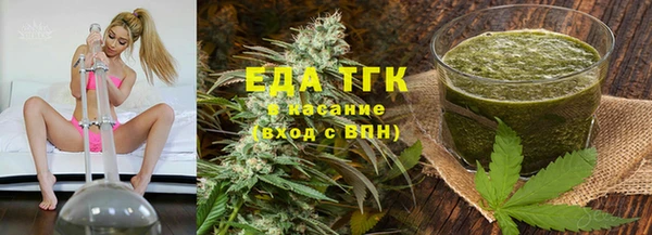 spice Гусев