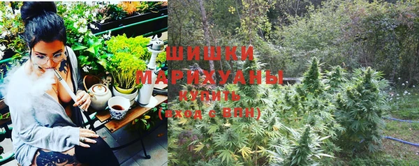 Альфа ПВП Гусь-Хрустальный