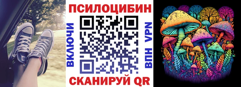 Галлюциногенные грибы Psilocybe  МЕГА сайт  Новосокольники  где продают наркотики 